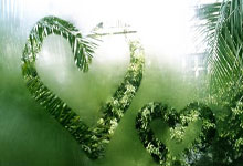 爱游戏体育-奥地利队横扫瑞典队，张继科高光表现