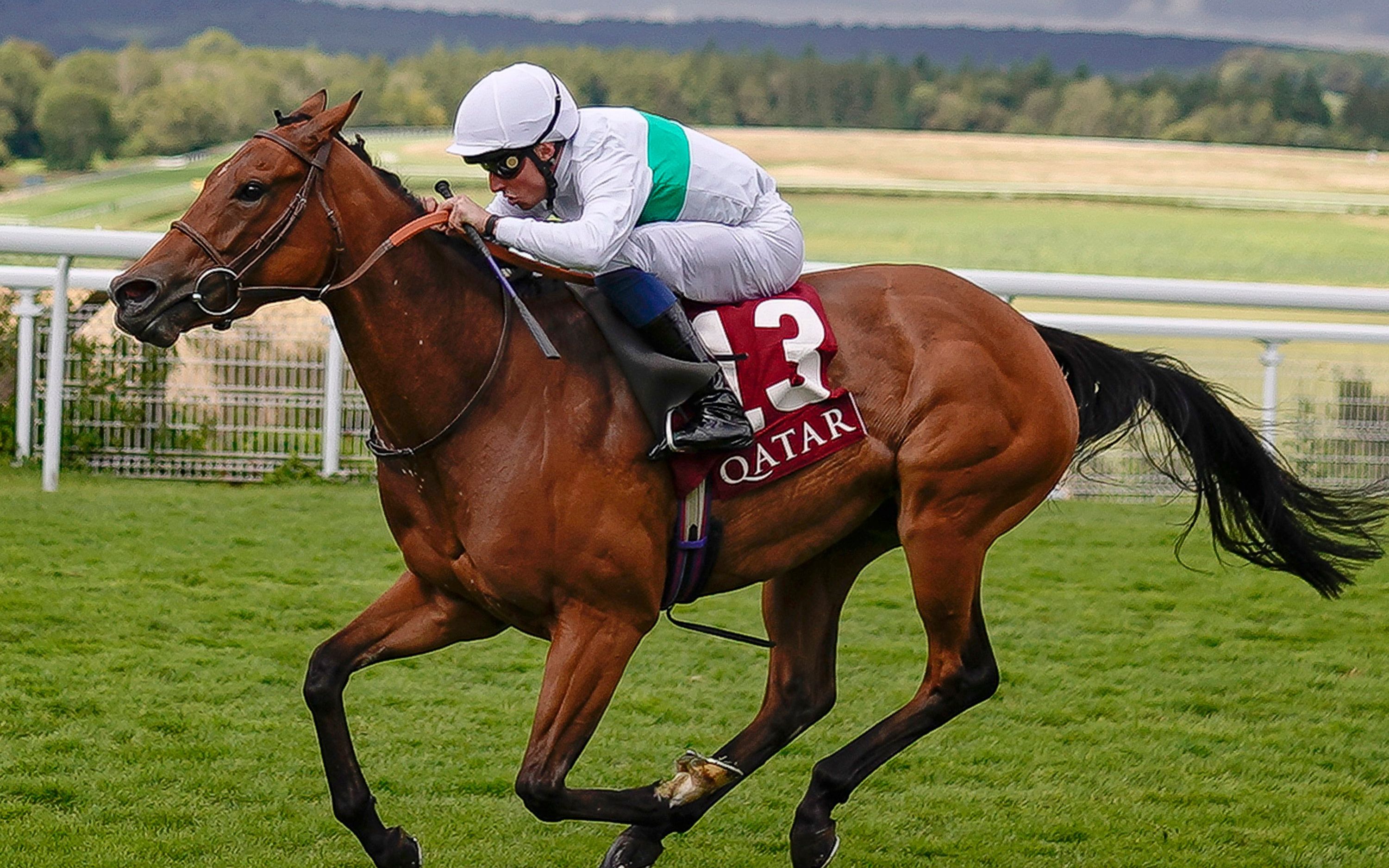 广东队完胜国王,乔治统治全场 广东队完胜国王,乔治统治全场