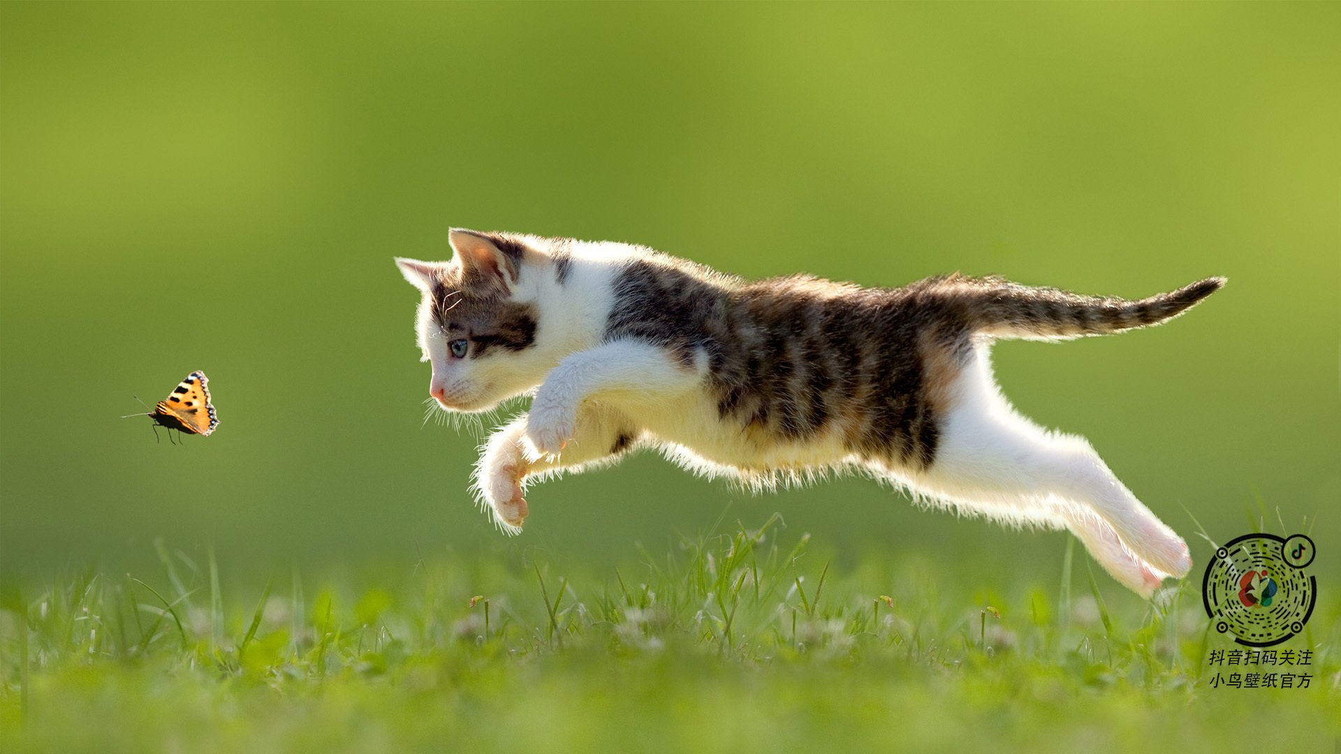 当最锋利的矛刺穿钢铁防线，赛场上的翻盘艺术