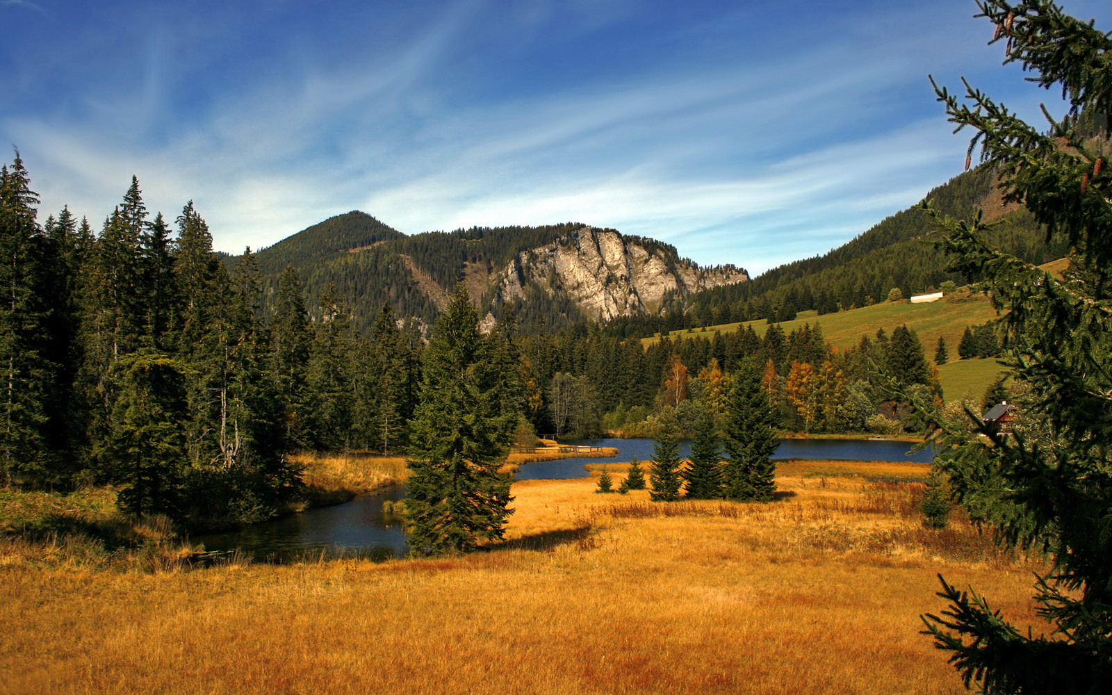 爱游戏娱乐-赛场的三重奏，坚韧、精密与团结的交响—从泰国逆转日本到陈雨菲带队取胜