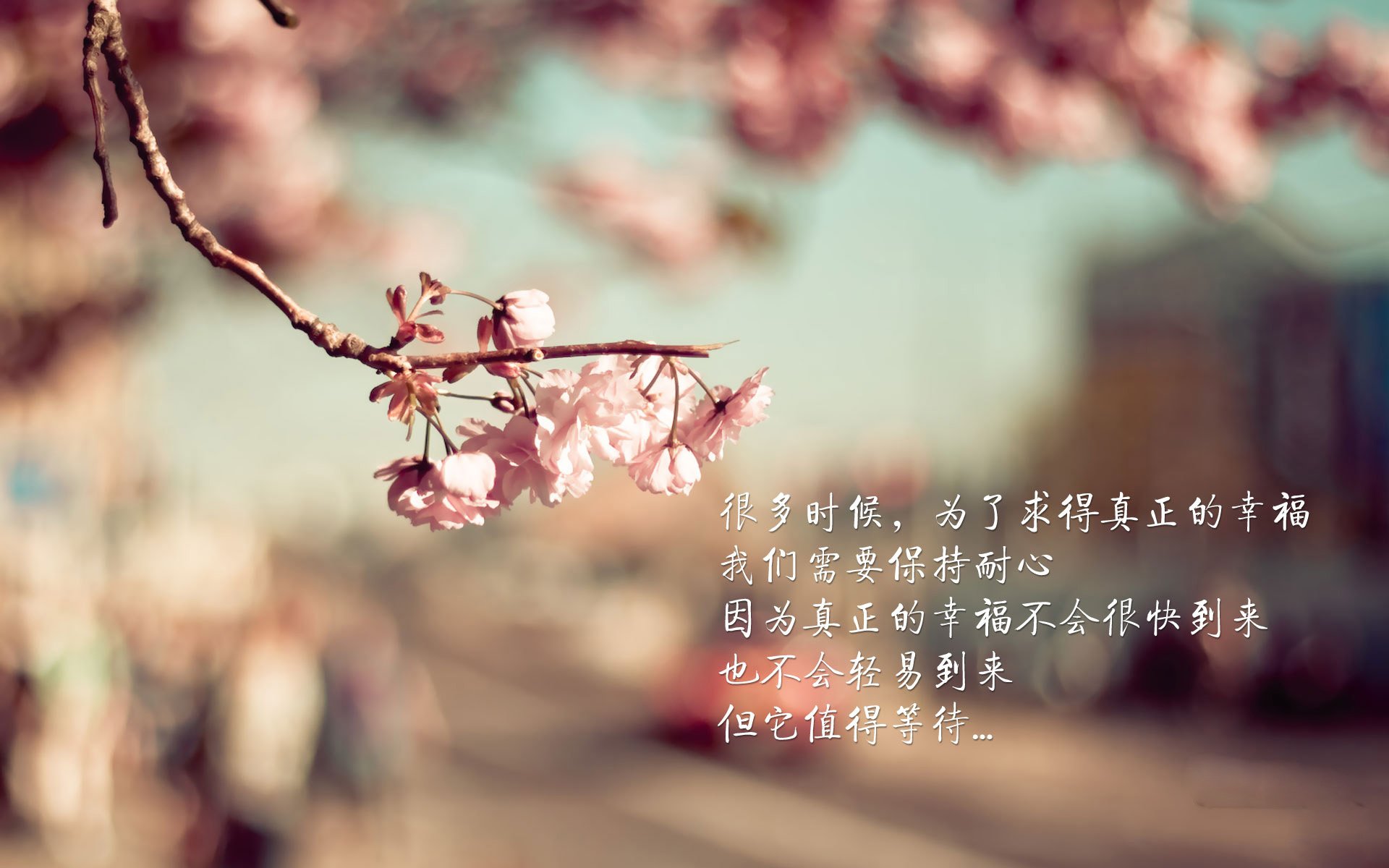 东方闪电降临亚平宁，孙兴慜助AC米兰击溃卡塔尔劲旅