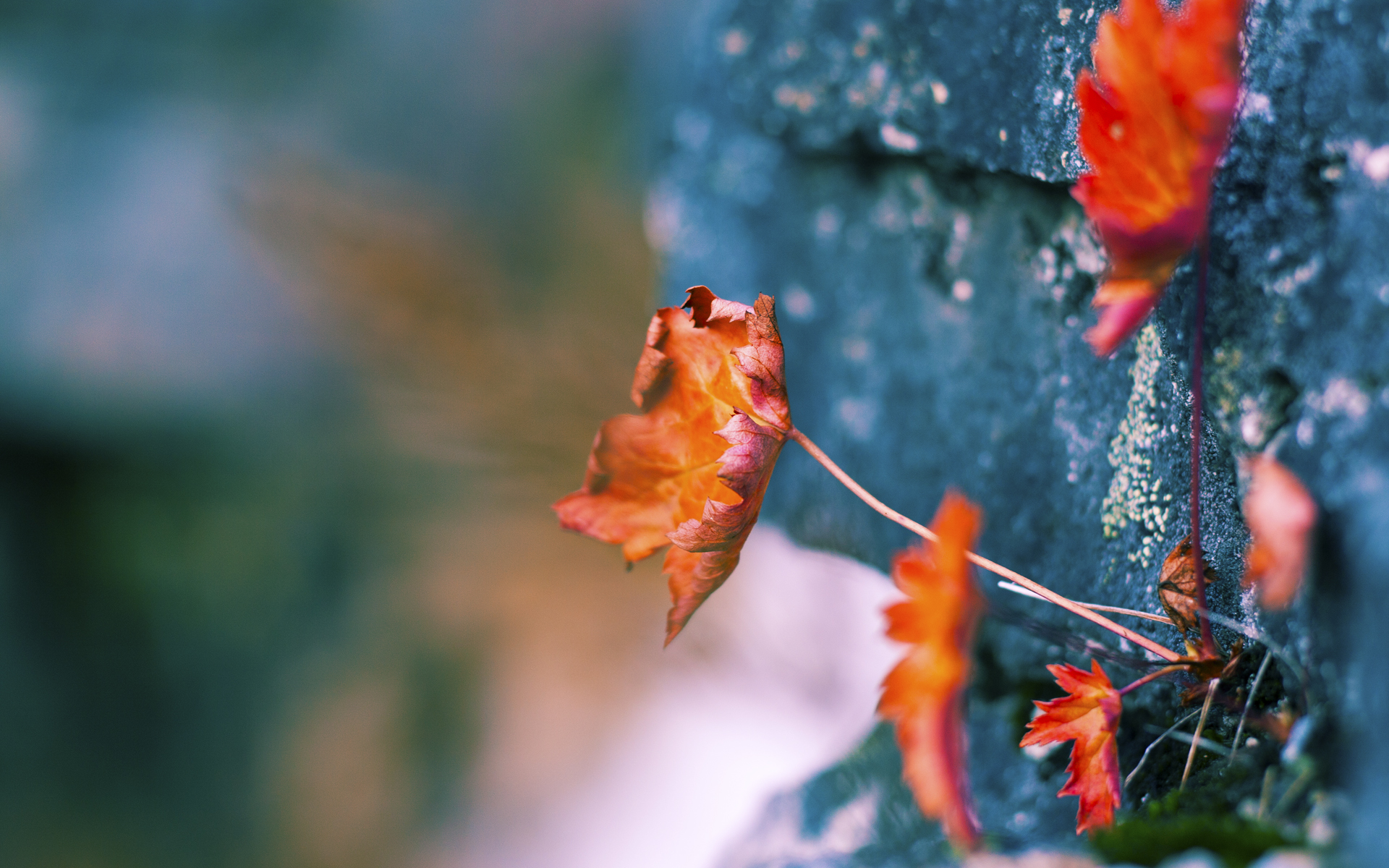 铁血交锋见证进化，西亚卡姆用全能回应吉林钢铁防守