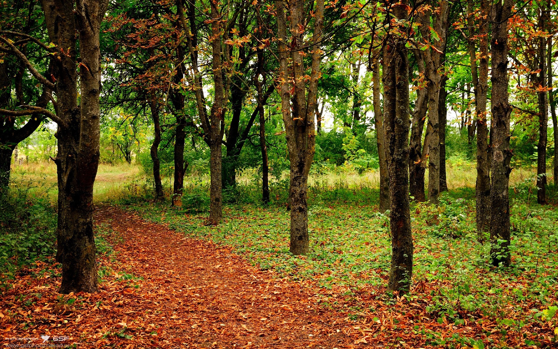 乔治完美演绎团队篮球哲学，广厦队轻取太阳赢得关键战役