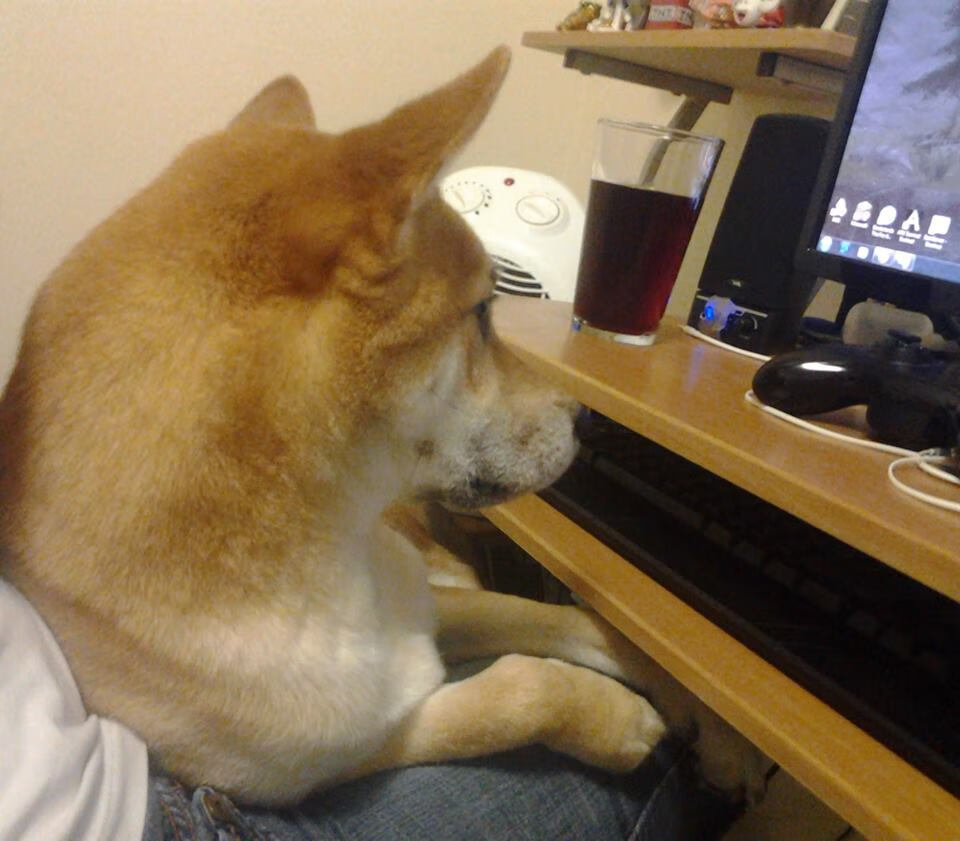 爱游戏官方入口-速胜与正名，雄鹿轻取魔术，乔治焦点战闪耀