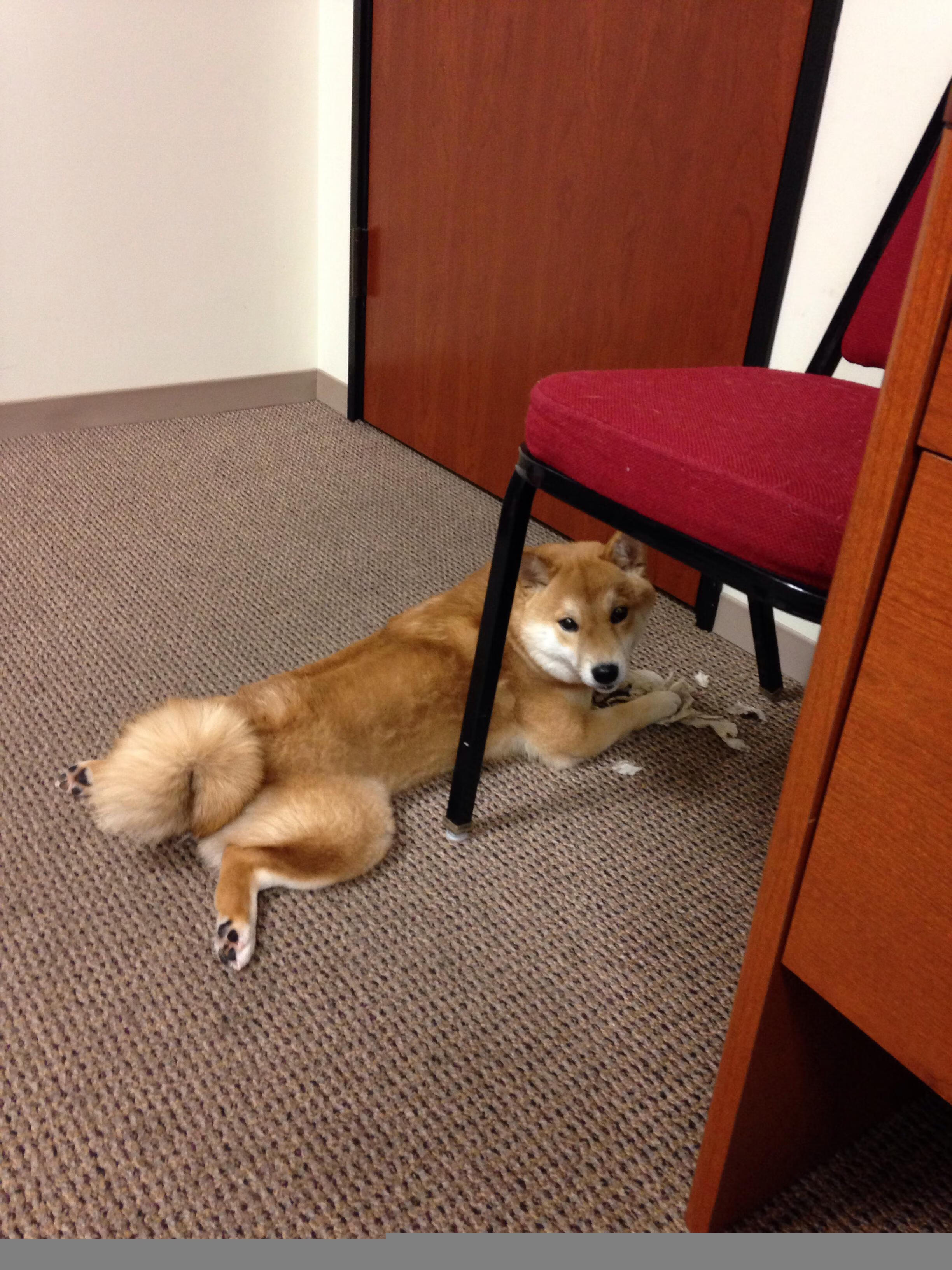 关键先生穆勒一击致命!西班牙行云流水却难挡希腊坚韧逆袭