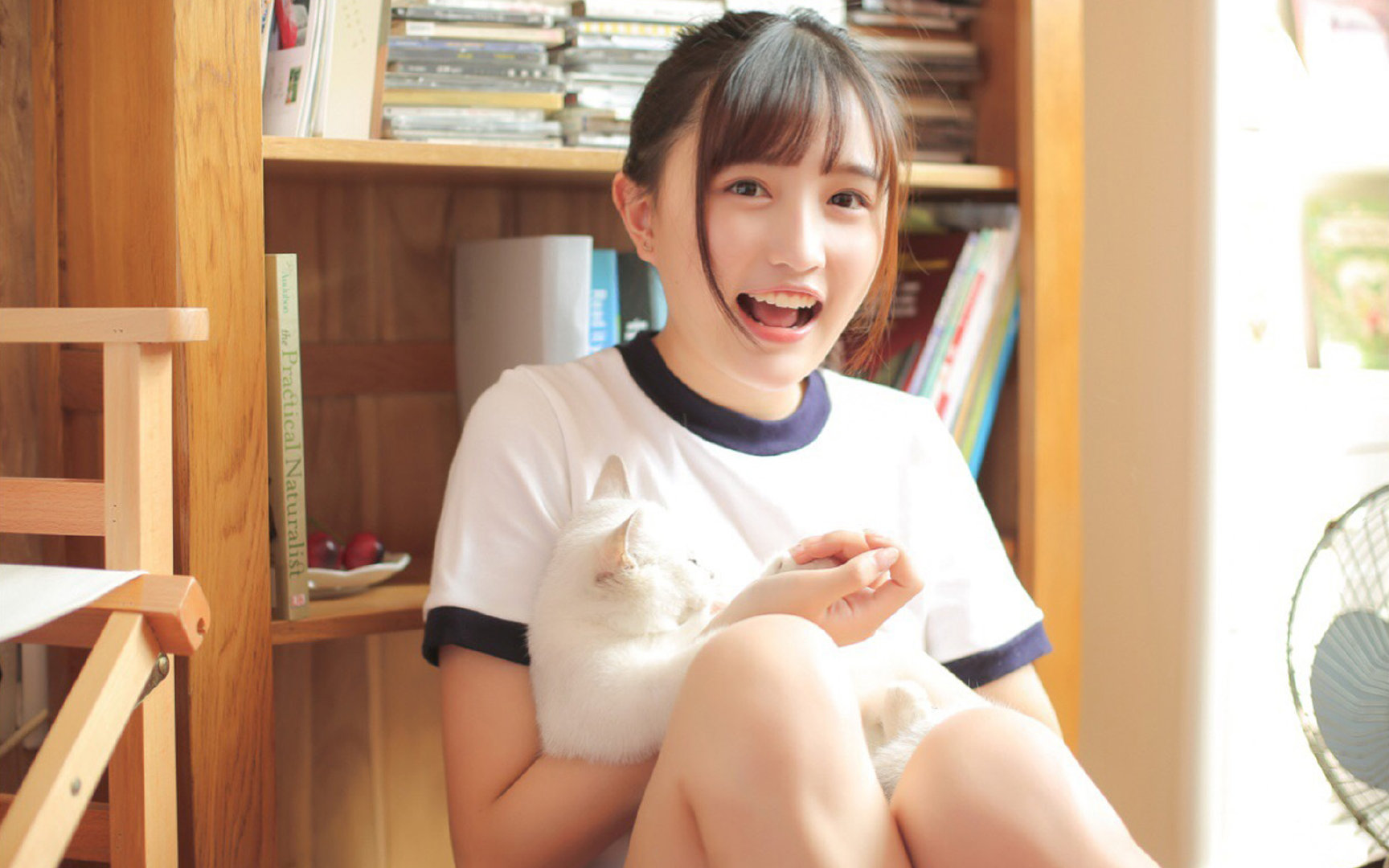 湖人对阵鹈鹕，传统王者的壁垒，迎战布伦森引领的青春风暴