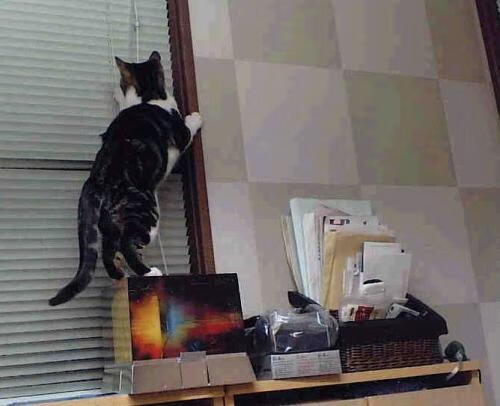 改写篮球史的唯一一夜,辽宁队速胜国王,杜兰特成关键先生