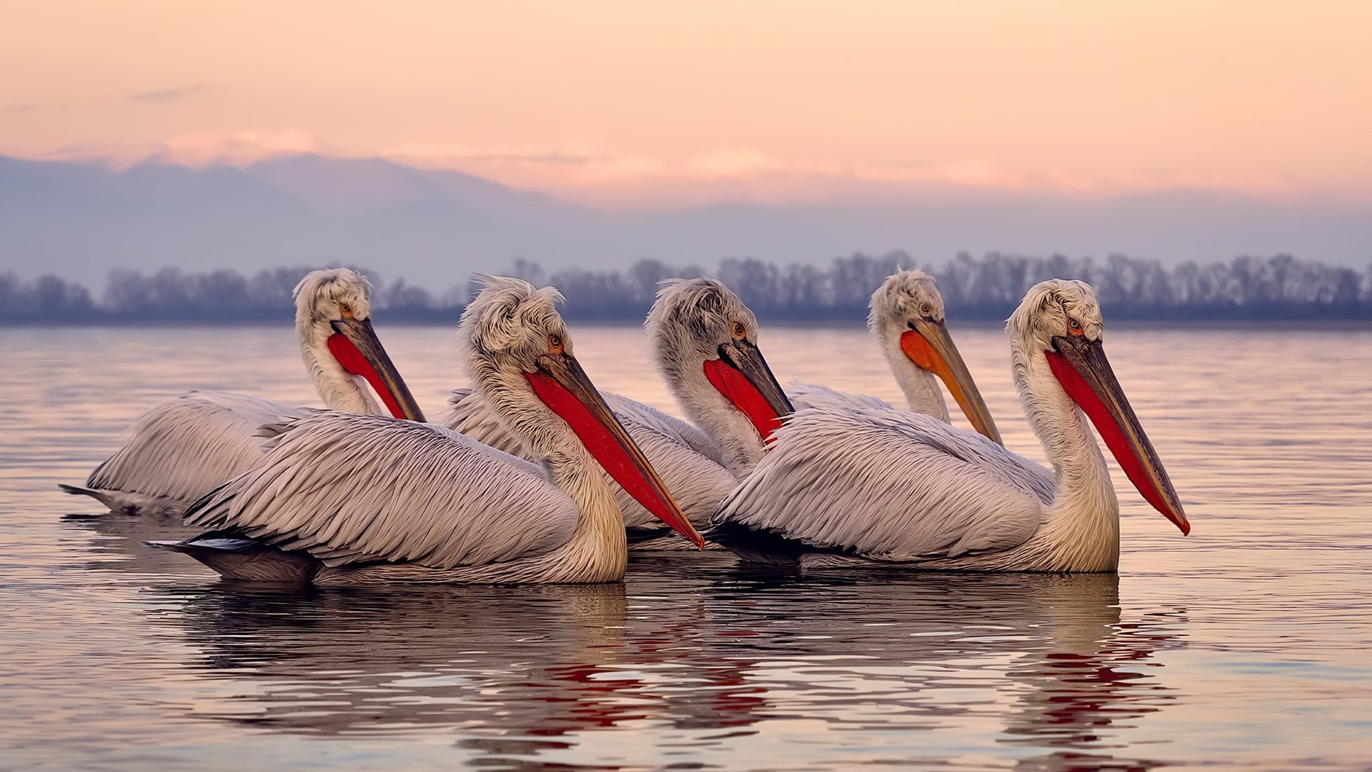 看到您的关键词组合,我理解您是想将两个不同维度的足球热点—德甲争冠的焦点战与塞维利亚的竞技风格/一场对阵尼日利亚球队的比赛—进行创意融合与深度关联。这需要构建一个独特的叙事逻辑