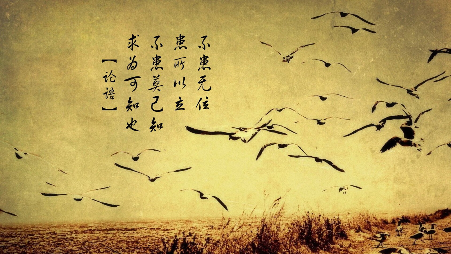 极光与桑巴的方程,当冰岛盾墙遇上孔德的无解解