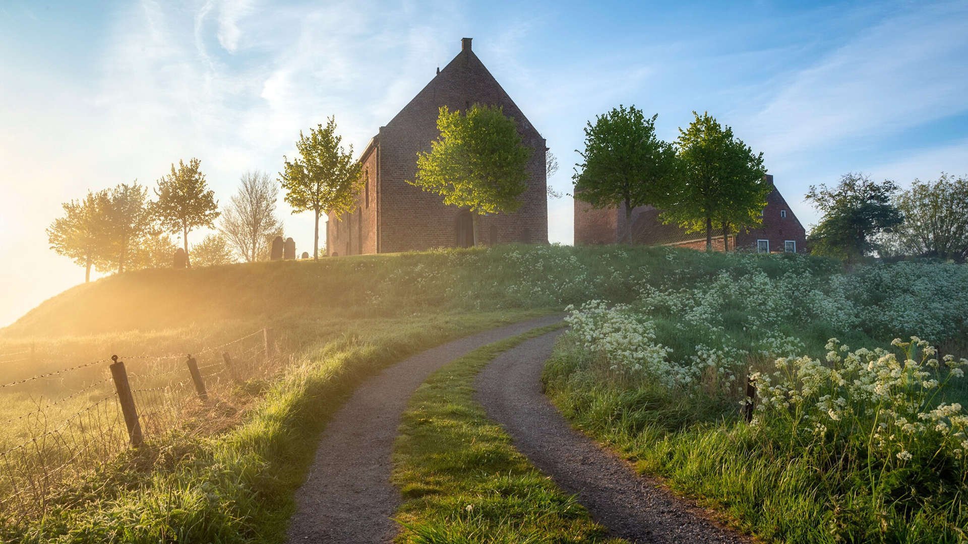 霍勒迪杀红眼!深圳猎豹撕碎勇三疯,终极解药已现
