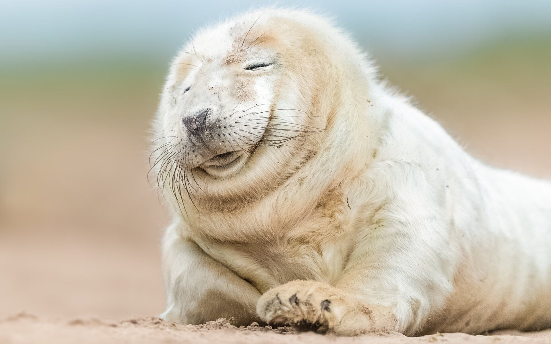 当篮球之神降临绿茵场，文班亚马的欧冠史诗之夜