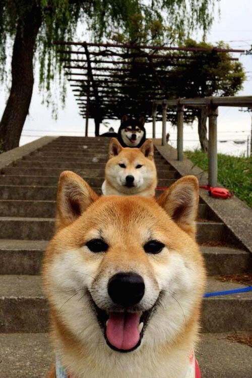 当武切维奇统治全场，一场跨越竞技版图的完胜