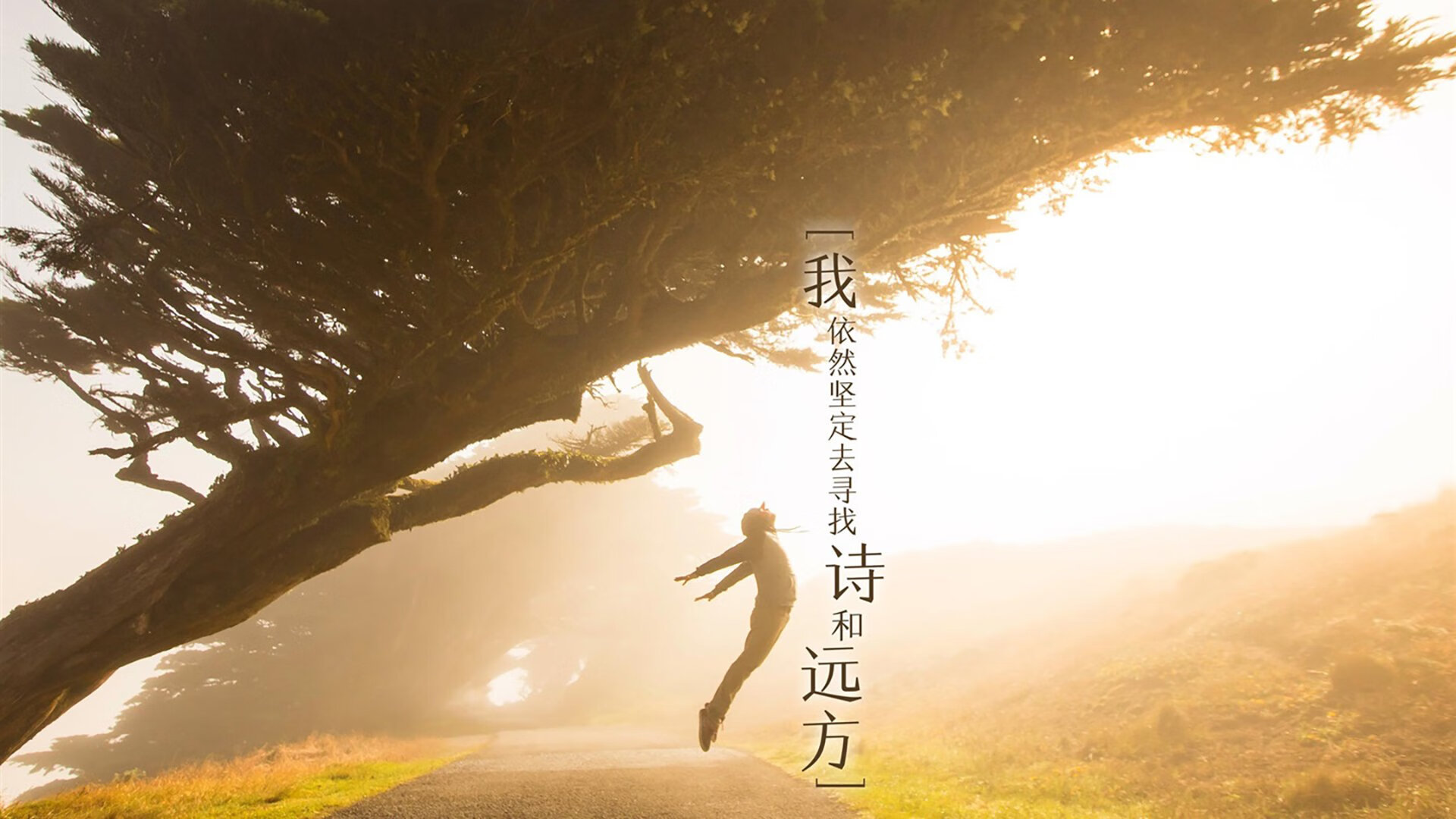 荒诞与真实的合奏,当金玟哉成为洪都拉斯逆袭的关键先生