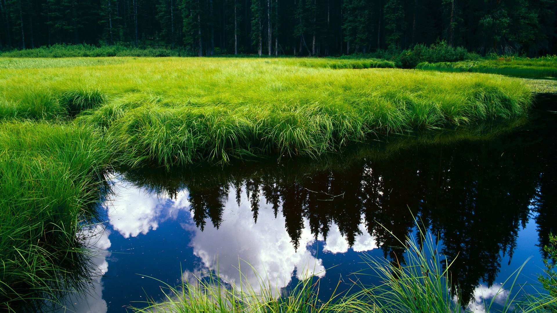 东方力量对决西方劲旅，哈利伯顿关键进球定乾坤，新疆队险胜老鹰