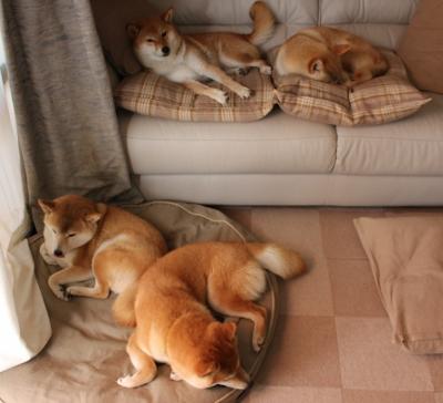 铁骑踏破孤城，风城之子终成北境新王