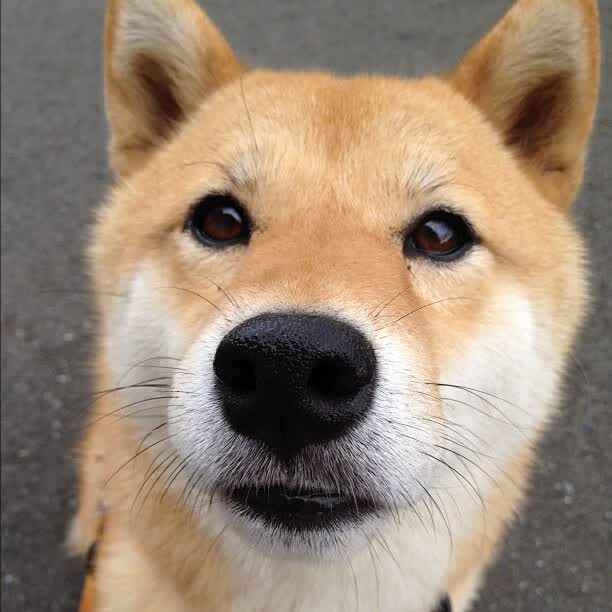 硬仗之王劳塔罗，尼斯围城之夜，他如何成为乌拉圭唯一破局者？